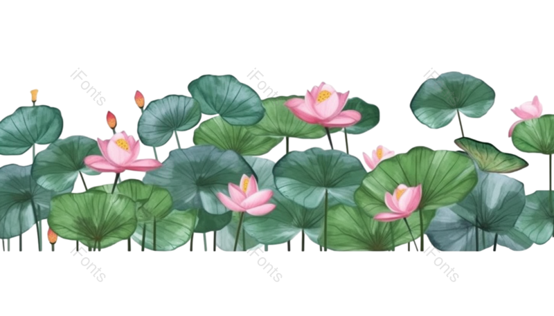 叶子图片,元素元素,荷花PNG,夏天免抠素材